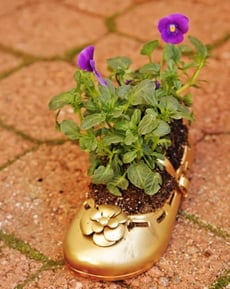 Plant a Memory