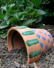 Build a Toad Abode