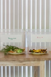 What Attracts Fruit Flies?