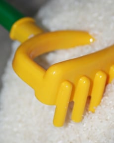 Explore the Senses with a Sensory Table!