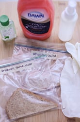Do Hand Soaps and Sanitizers Prevent the Growth of Bread Mold?