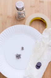 Show the Direction of Magnetic Field Lines