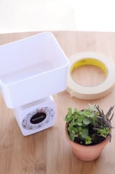 Transpiration Experiment