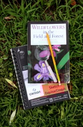 Biodiversity Project