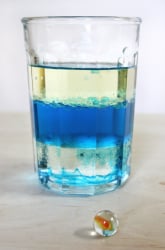 Density Experiment