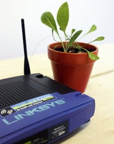 WiFi Radiation