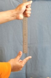 Reaction Time: The Ruler Drop Test