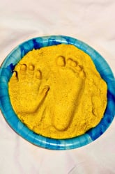 Dinosaur Tracks: How Are Fossilized Imprints Formed?