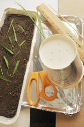 How to Prevent Erosion