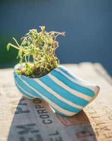 Wooden Shoe Craft