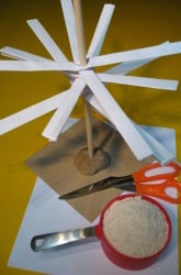 Coniferous Forest Plant Adaptations