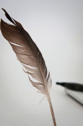 Who’s Most Ticklish?