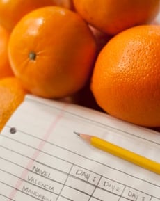 Does Skin Thickness Decrease Fruit Spoilage Rate? 