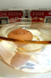 How Can You Tell The Age Of An Egg Without Cracking It Open?
