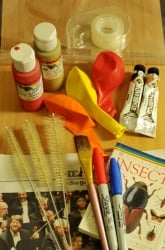 Build an Insect Model