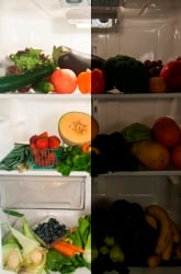Does a Dark Fridge Prevent Food from Spoiling?