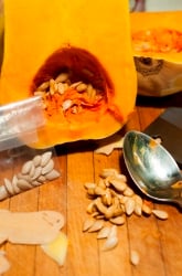 The Growth Rate Of Pre-packaged Seeds vs. Seeds From Directly Inside the Fruit or Vegetable 