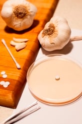 Natural vs. Synthetic Antibiotics: Which Works Better?