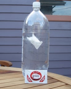 How to Make a Cartesian Diver