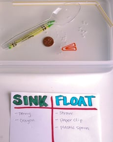 Sink or Float: A Science Experiment