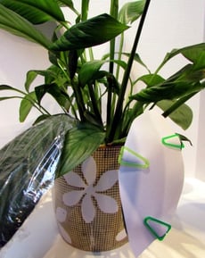 What Do Leaves Do?