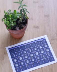 Planting By the Moon