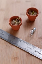 Do Plants Grow Better in Sunlight or Artificial Light?