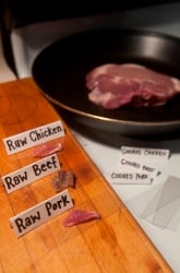 Bacteria in Raw vs. Cooked Meat