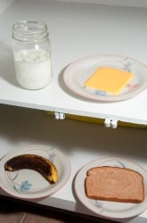 Which Food Will Mold the Fastest?