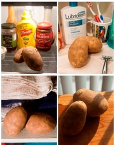 Under What Conditions Do Potatoes Sprout The Fastest