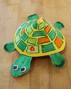 Turtle Craft