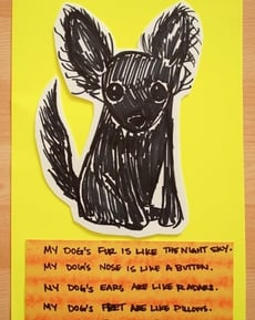Write a Simile Poem ... Starring Your Pet!