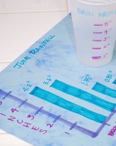 Track the Weather with Weather Charts