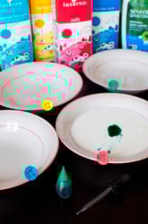 Color Changing Milk Experiment