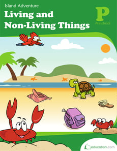 Living and Non-Living Things: Island Adventure