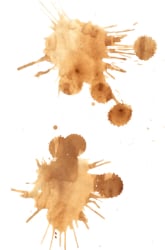 Stubborn Stains