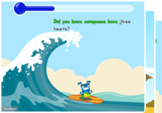 Typing Sentences: Accuracy