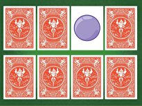 2D and 3D Shape Match