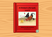 A Chicken's Life Cycle: Level N