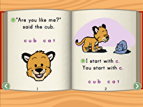 Are You Like Me Story