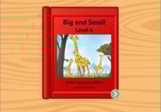 Big and Small: Level A