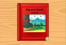 Big and Small: Level D