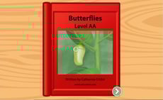 Butterflies: Level AA