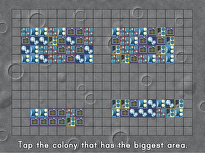 Colony Area Measurement