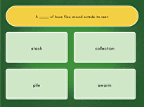 Collective Nouns Quiz