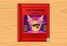 I Am Amazing!: Level D