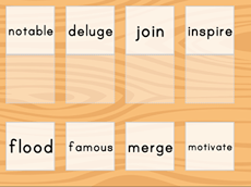 Match: Find the Synonyms
