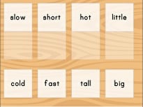 Match Opposite Words