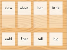 Match Opposite Words