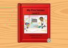 My Five Senses: Level G